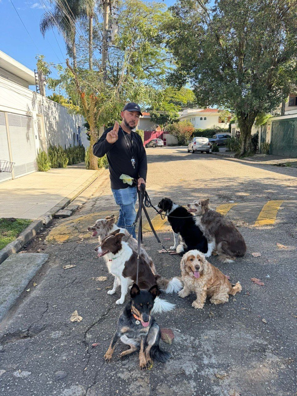 Flávio em pé numa rua do Alto de Pinheiros, cercado por sua matilha de seis cães sentados obedientemente ao redor dele, em pleno comando