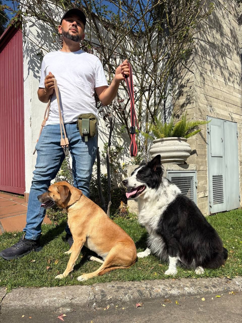 Flávio em pé segurando as guias de dois cães sentados ao lado dele, na rua do Alto de Pinheiros